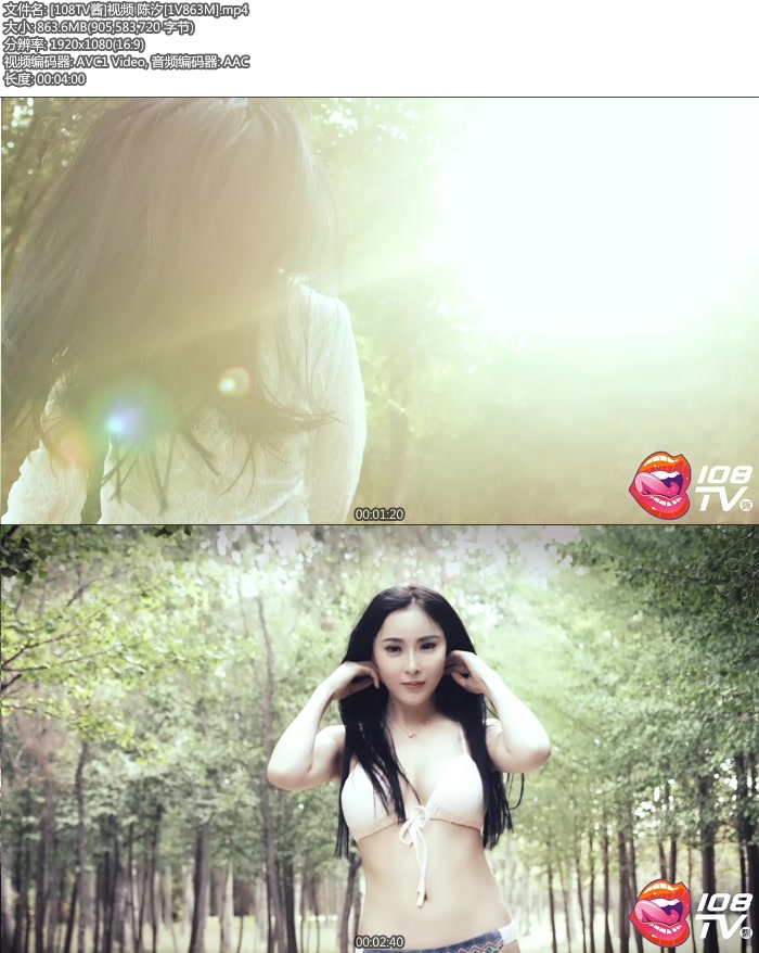 [108TV��]��Ƶ ��ϫ [mp4/863M]