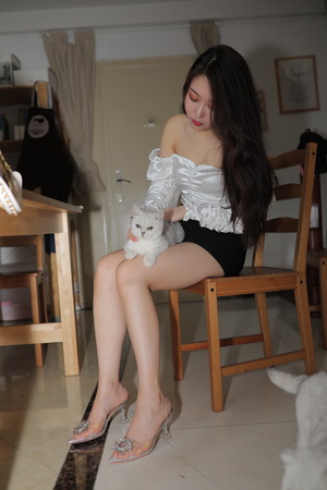 ���������Ʒ û��������� �ڶ��� [491P4V-15.5GB]